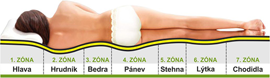 7 anatomických zón